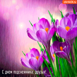 С Днём подснежника, друзья