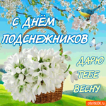 С днём подснежников - дарю тебе весну