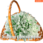 С днём подснежников нежно поздравляю