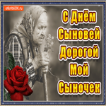 С днём сыновей дорогой мой сыночек