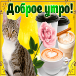 С добрым утром мои любимые друзья