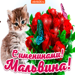 С именинами Мальвина