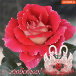 С любовью эта нежная роза
