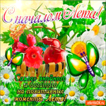 С началом лета - Много позитивных моментов вам