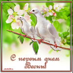 С наступающим днём весны