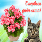 С первым днем лета