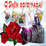 С праздником всех фотографов сегодня, ура