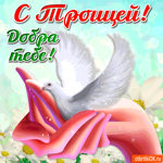 С Троицей - Добра тебе