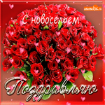 С удачным новосельем