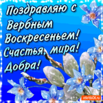 С Вербным Воскресеньем -  Добра и мира желаю