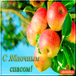 С Яблочным Спасом - Свежих яблок тебе на страничку