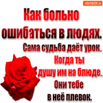 Сама судьба даёт урок