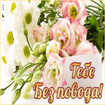 Шикарная картинка с цветами Тебе без повода