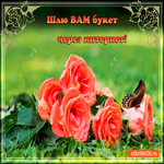 Шлю вам букет через интернет