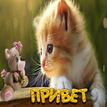 Симпатичная открытка с котенком Привет
