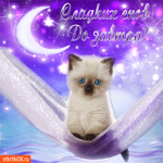Сладких снов, до завтра