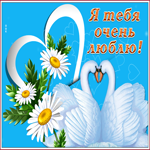 Славная открытка я тебя люблю