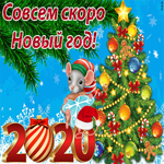 Совсем скоро Новый год