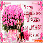 открытка спасибо с собакой