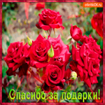 Спасибо за ваши подарки