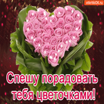 Спешу порадовать тебя цветочками