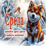 Среда! Давайте друг другу дарить позитив