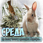 Среда! На смену золоту приходит серебро