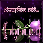 Стильная открытка Волшебных снов! Спокойной ночи! С розой