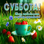 Суббота! Желаю, чтобы все планы на субботу осуществились