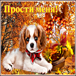 Супер картинка прости меня с собачкой
