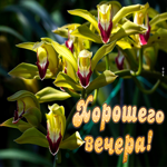 Супер картинка с цветами Хорошего вечера!