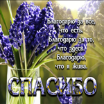 Супер открытка Благодарю за все, что есть