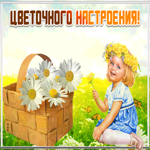 Тебе для настроения