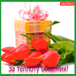 Тебе за теплоту общения