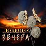 Теплая и уютная открытка Доброго вечера