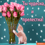 Ты чудесна и прелестна