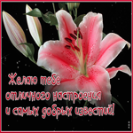 Удачи, счастья, нежных слов