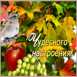 Удивительная открытка чудесного настроения