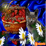 Улыбнись ведь ты же чье-то счастье