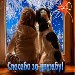 Умопомрачительная открытка Спасибо за дружбу