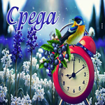 Умопомрачительная открытка Среда! С птичкой и цветами