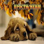 Уникальная гиф-открытка Прости меня