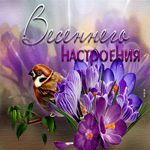 Уникальная открытка Весеннего настроения! С птичкой