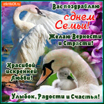 Вас поздравляю с Днём Семьи - Желаю верности и страсти