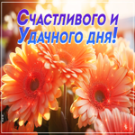 Вдохновенная и светлая открытка Счастливого и удачного дня