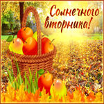 Веселая гиф-открытка Солнечного вторника