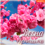 Весна тёплая пришла