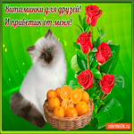 Витаминки для друзей