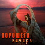 Волнующая и трогательная открытка с ракушкой Хорошего вечера