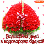 Волшебных дней
